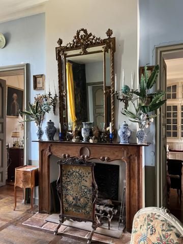 ELEGANT CHATEAU XVIIIs, sans travaux, sur 1 hectare clos de murs, jardin paysagé, chapelle, orangerie, dépendances, pour famille, evenementiel  près de Pau, Lourdes, Marciac, Tarbes ...