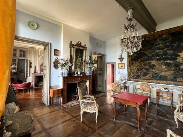 ELEGANT CHATEAU XVIIIs, sans travaux, sur 1 hectare clos de murs, jardin paysagé, chapelle, orangerie, dépendances, pour famille, evenementiel  près de Pau, Lourdes, Marciac, Tarbes ...