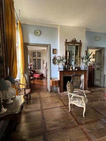 ELEGANT CHATEAU XVIIIs, sans travaux, sur 1 hectare clos de murs, jardin paysagé, chapelle, orangerie, dépendances, pour famille, evenementiel  près de Pau, Lourdes, Marciac, Tarbes ...