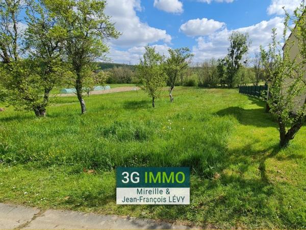 Vente / Terrain constructible