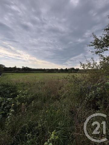 Terrain à vendre  1326 m2 DOMERAT - 03