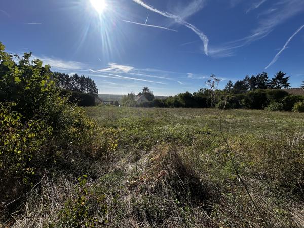 Terrain