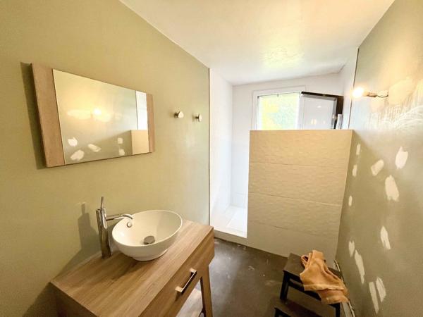 Maison avec 7 chambres, 2 gites, Ansac sur vienne