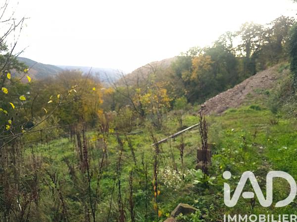 Terrain à vendre 3 747 m² Heiligenberg