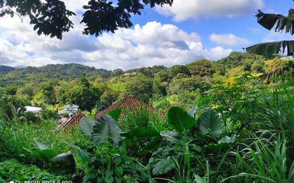 Terrain à vendre    Saint-Joseph