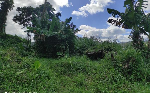 Terrain à vendre    Saint-Joseph