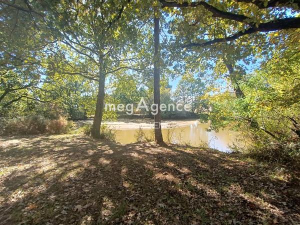 Maison à AIZENAY, 85190 - 3 pièces 600m²