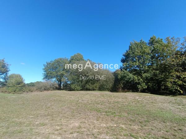 Maison à AIZENAY, 85190 - 3 pièces 600m²