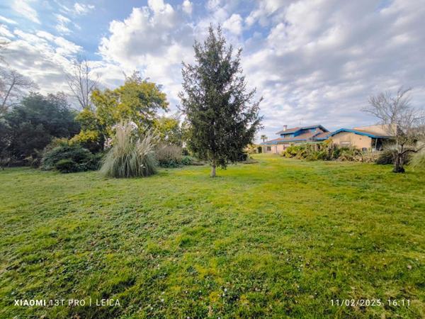 Ensemble immobilier Maison Hinx 5 pièce(s) 185 m2 plus hangar 250 m2