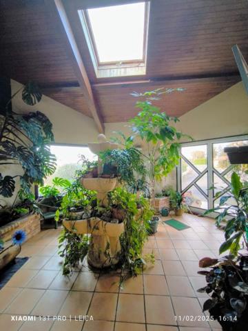 Ensemble immobilier Maison Hinx 5 pièce(s) 185 m2 plus hangar 250 m2