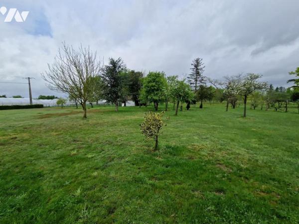 2 MAISONS DE CAMPAGNE AVEC DEPENDANCES 