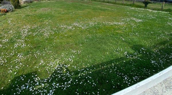 Terrain à Batir à vendre à Eysines en Gironde (33320), ref : 032/1616   
Montalieu
