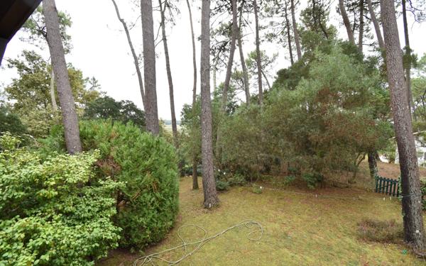 Maison à vendre    6 pièces •  Soorts-Hossegor