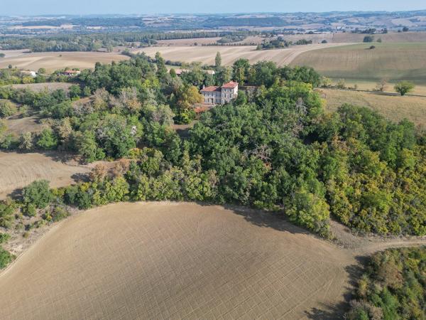 Vente Maison de maître Lavaur 15 Pièces 470 m²