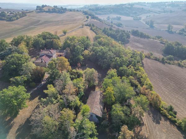 Vente Maison de maître Lavaur 15 Pièces 470 m²