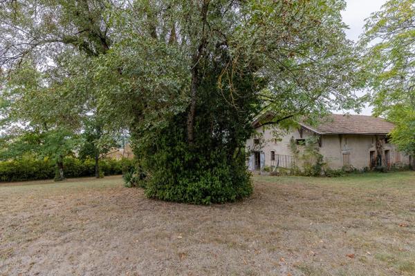Vente Maison de maître Lavaur 15 Pièces 470 m²