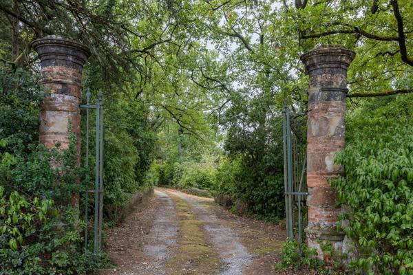 Vente Maison de maître Lavaur 15 Pièces 470 m²