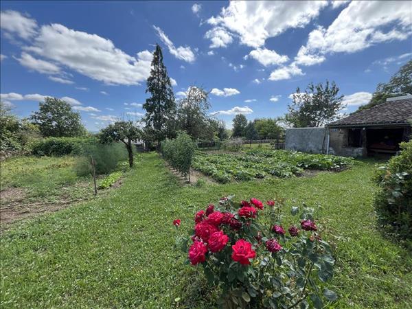 Maison à vendre |  Montredon-Labessonnié |  9 pièces | 213 m²