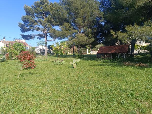 Saint-Cyr-sur-Mer (83270) TERRAIN PLAT CONSTRUCTIBLE - 726M2 - CALME - CENTRE VILLE
