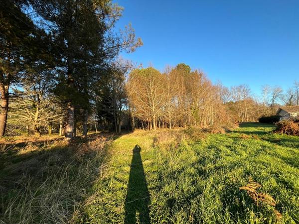 Grand terrain 2827 m2 constructible divisible MIOS