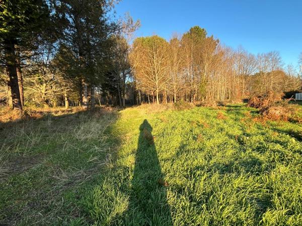 Grand terrain 2827 m2 constructible divisible MIOS