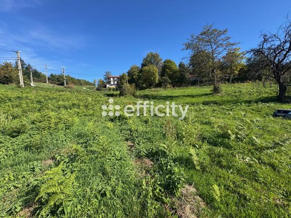 Terrain - 2949 m²