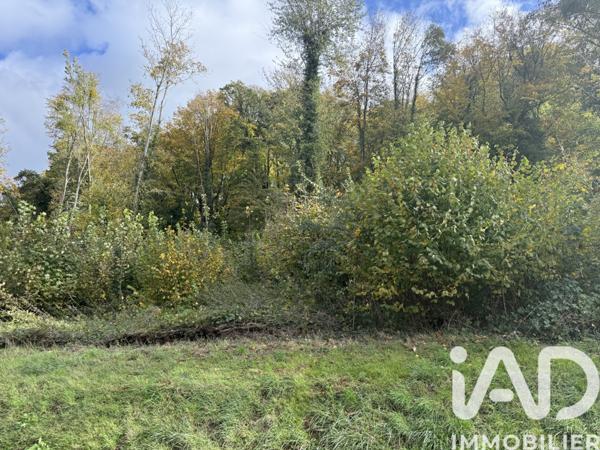 Terrain à vendre 5 420 m² Pierrefonds