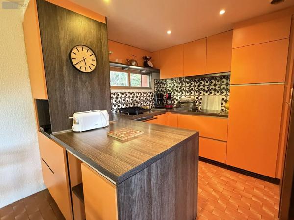 Achat - Maison | Chalet Laveissière 15300 4 pièces 100 m 2 846 m 2