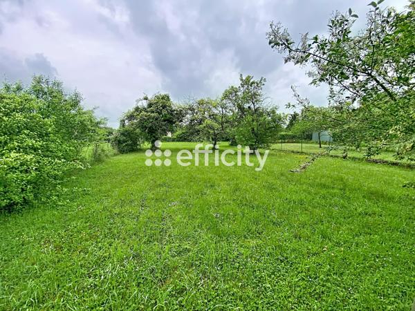 Maison
         4 pièces
        - 80 m² Exclusivité 86 000 € *