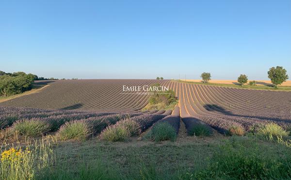 A vendre - Propriété de 10 hectares - Haute Provence