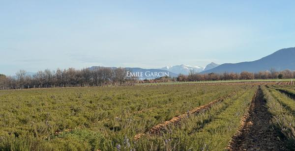A vendre - Propriété de 10 hectares - Haute Provence