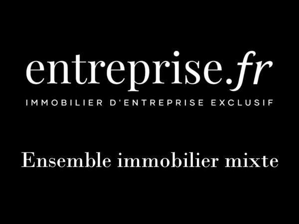 Ensemble mixte 600 m² – Atelier + loft + maison. Idéal activité + habitation / bureaux / atelier. Actif rare et valorisant.
