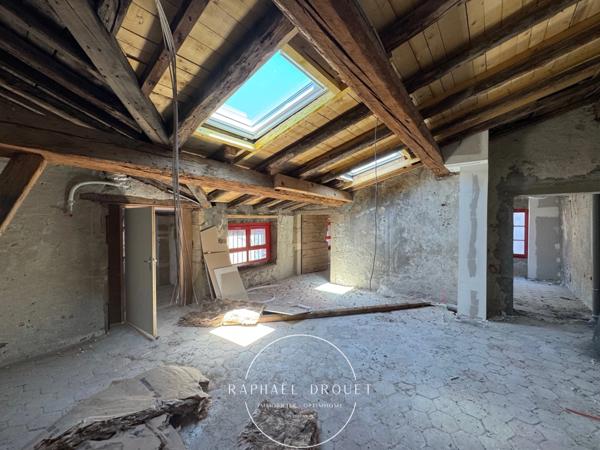 VIENNE – CENTRE-VILLE – T3 EN PLATEAU BRUT – LE CHARME DE L’ANCIEN A NEUF - SOUS LES TOITS