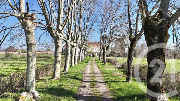 Maison à vendre  25 pièces - 785 m2 THIONNE - 03