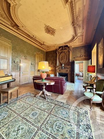 Maison à vendre  25 pièces - 785 m2 THIONNE - 03