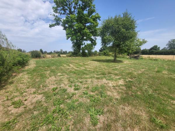 À vendre – Longère rénovée avec terrain arboré, à 10 min de Saint-Amand-Montrond
