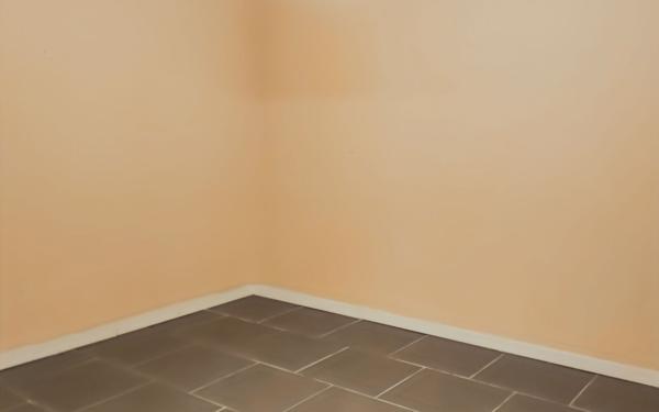 Appartement à louer    3 pièces • 57 m2 Montrem