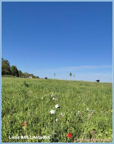 Terrain à vendre de 2 742 m²