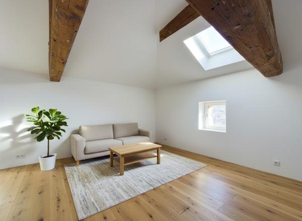 Appartement Collonges Au Mont D Or 1 pièce 30 m2