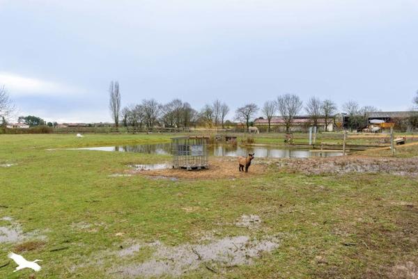 Maison à vendre |  Samadet |  7 pièces | 260 m²