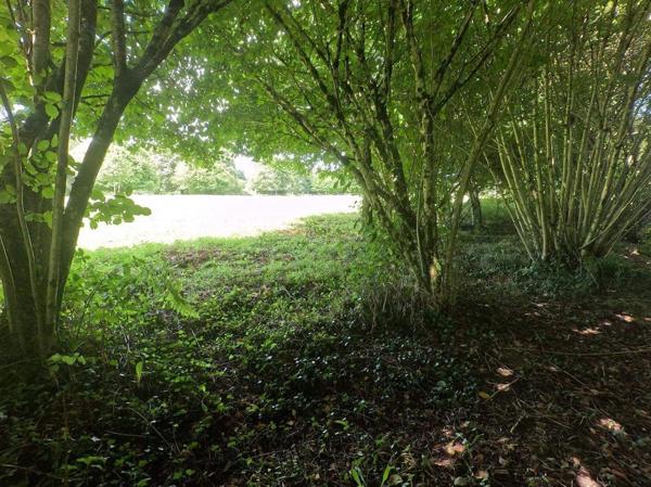 Maison 5 pièces - 120 m²