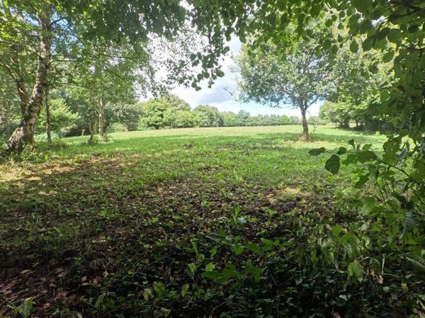 Maison 5 pièces - 120 m²