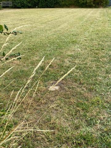 Terrain à Batir à vendre à Bossée dans l'Indre-et-Loire (37240), ref : 082/336