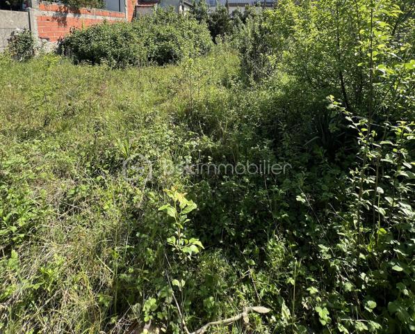 Vous avez un projet de construction de votre maison familiale et vous cherchez un terrain ? 
Et bien ne cherchez plus, vous l'avez trouver. 
Situé dans le quartier très recherché de Polangis, coté Joinville Le Pont, je vous propose ce terrain de 256m², au cœur d'une zone pavillonnaire très appréciée par ses habitants pour son calme et sa tranquillité.
Avec une façade de 13 mètres et sa forme rectangulaire, c'est l'endroit rêvé pour créer son nouveau cocon familial, à proximité des Bords de Marne ou du Parc du Tremblay, propices aux balades ou activités en plein air. 
Vous apprécierez également la facilité à récupérer les grands axes routiers, ou encore à rejoindre les communes comme Joinville Le Pont ou Nogent sur Marne. 
D'autres photos seront disponibles dès que je jardinier aura fait place nette. 
N'hésitez pas à me contacter.