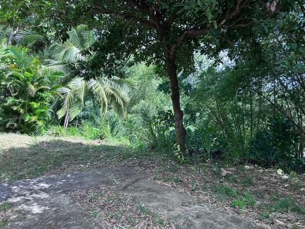 A VENDRE JOLIE VILLA T4 EN DUPLEX ET T2 EN RDJ SUR 1000 M² DE TERRAIN DANS SECTEUR RESIDENTIEL DE LA GRIPPIERE A PETIT-BOURG