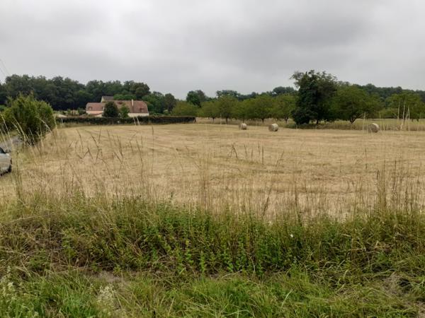 Terrain
        
        - 2013 m² 46 200 € *
