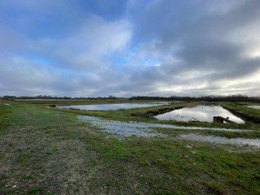 Étang à vendre à Lingé dans l'Indre (36220), ref : 1050201