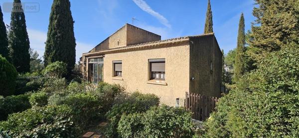 Maison à vendre à Saint-Clément-de-Rivière dans l'Hérault (34980), ref : 34019-436
