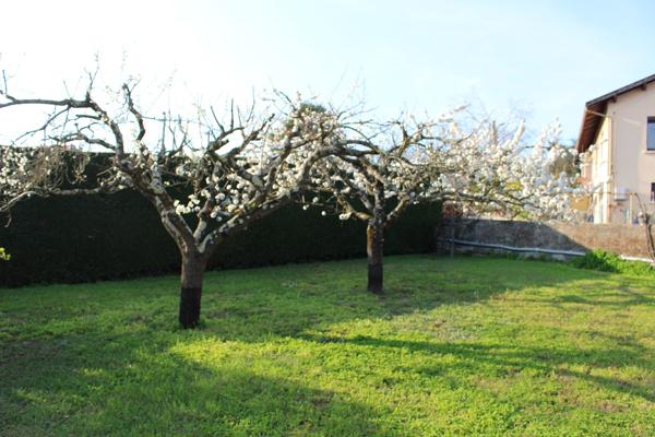 Maison Roussillon 6 pièce(s) 220 m2