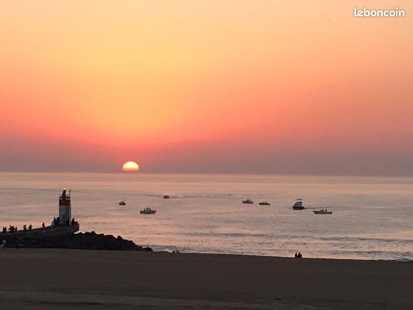 Appartement T1 avec grande terrasse  à 100 m de la plage avec parking